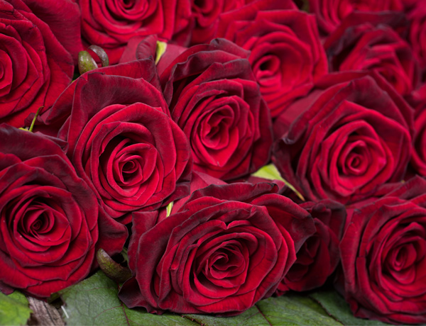 Romance Spa Package